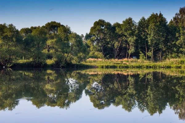 Reflexion von Bäumen im Wasser — Stockfoto