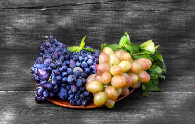 iki üzüm çeşitleri