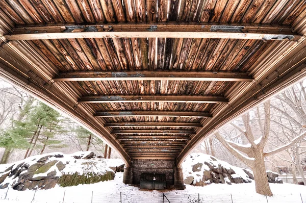 Texture underneath Central Park bridge — Stock Photo, Image