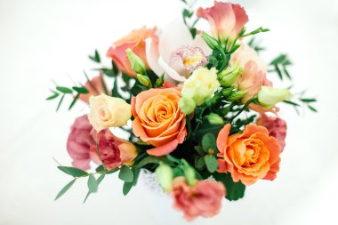 Çiçekler beyaz zemin üzerine tencerede