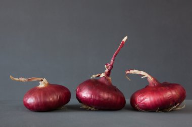 Kırmızı soğan taze yakın çekim