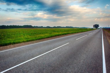 Çiçek çayırları kırsal arasındaki boş asfalt yol.
