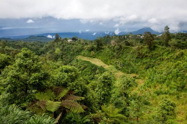 Yeşil ormanları ve dağları olan bir yer.