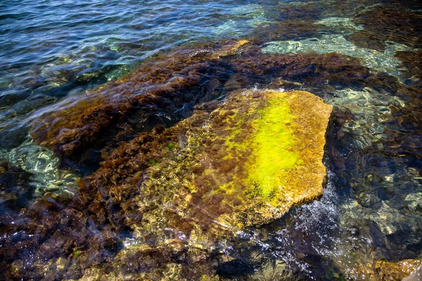 Acqua Limpida Nel Fiume Sulla Consistenza — Foto Stock