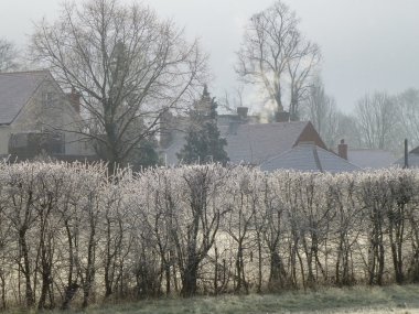 Hedge ve frost Cookham Köyü, Berkshire içinde örtülü çatılar