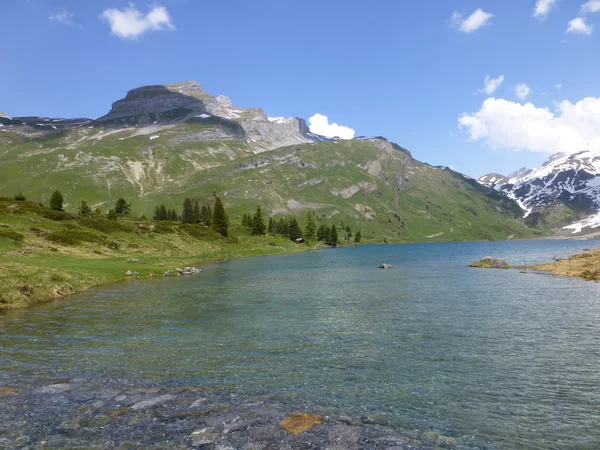 在瑞士的 Engstlenalp 和 Engstlensee 湖 — 图库照片