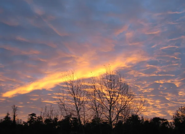 Spectaculaire zonsopgang boven de rivier de Theems — Stockfoto