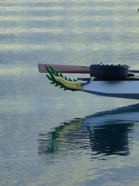 Dettaglio drago in canoa sul lago di Brienzersee, Svizzera — Foto Stock