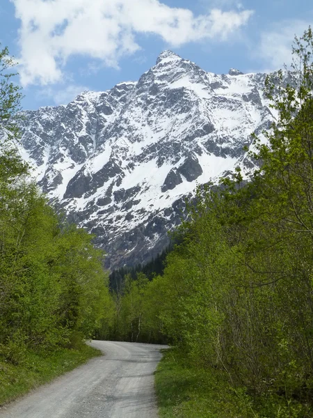 Pohled na zasněžené hory Sakhorn z cesty údolím Gasterntal, Švýcarsko — Stock fotografie