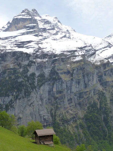 Uitzicht op de berg Jungfrau, gezien vanaf Gimmelwald, Zwitserland — Stockfoto