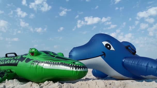 Dauphin et crocodile sur la plage — Video