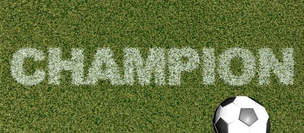 Mistr - tráva písmena na fotbalové hřiště — Stock fotografie