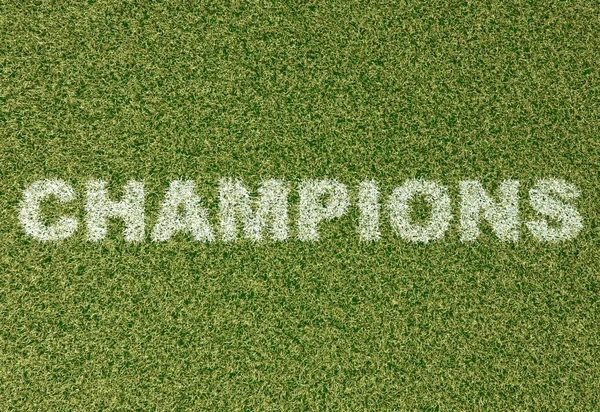 Mistři - tráva písmena na fotbalové hřiště 2 — Stock fotografie