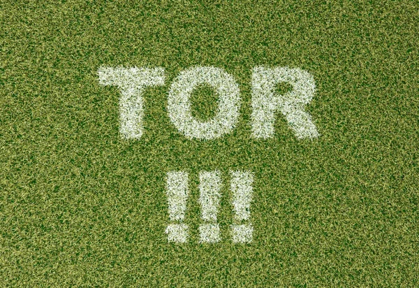 Tor - tráva písmena na fotbalové hřiště — Stock fotografie