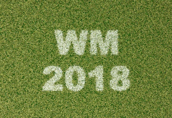 WM 2018 - futbol sahasındaki çim harfler
