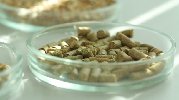 Los ingredientes para la elaboración de cerveza en la mesa. Lúpulo, malta. Granos, gránulos, grumos en recipientes de vidrio. Los rayos de luz. Los pellets lo son. Laboratorio. La calidad de las materias primas para la fabricación de cerveza. Cervecería . — Vídeos de Stock