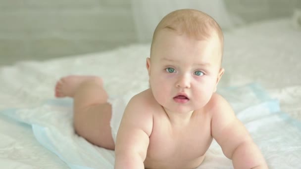 Retrato de un bebé. Niño de seis meses. . — Vídeos de Stock