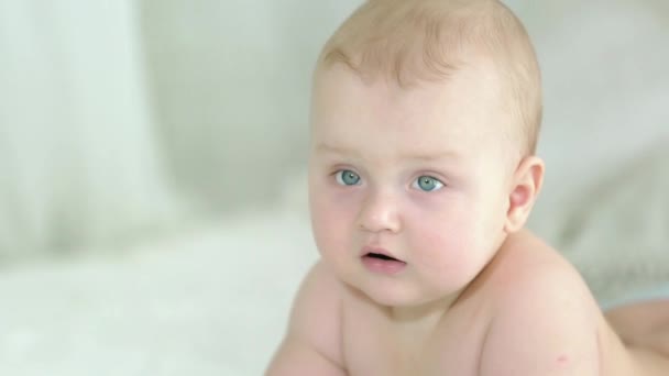Bir bebek portresi. Altı aylık çocuk. — Stok video