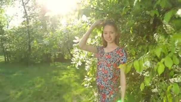 Joven chica seductora con el pelo largo, posando al atardecer en el bosque . — Vídeos de Stock