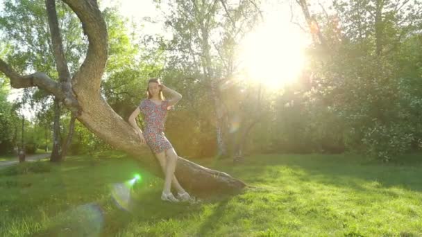 Belle fille posant au coucher du soleil à l'arbre dans la forêt . — Video