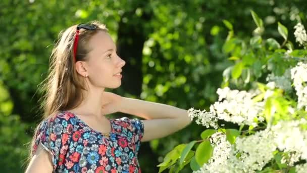 Jeune fille séduisante aux cheveux longs, posant au coucher du soleil dans la forêt . — Video