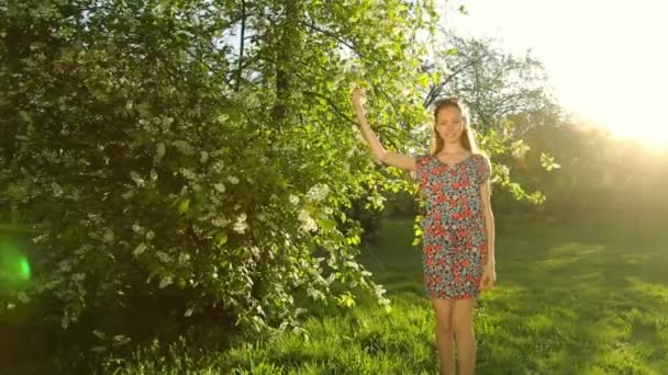 Jeune fille séduisante aux cheveux longs, posant au coucher du soleil dans la forêt . — Video