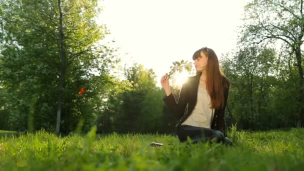 Молода спокуслива дівчина з довгим волоссям, позує на заході сонця в лісі . — стокове відео