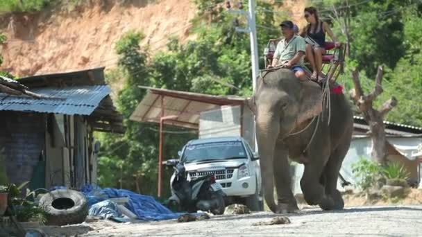 Los turistas jóvenes están montando en elefantes a través de la favela. Tailandia, Phuket, diciembre de 2014 . — Vídeo de stock