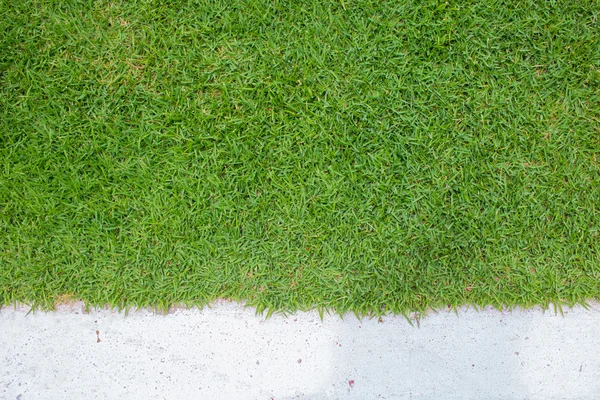 Green grass with white concrete — Stock fotografie