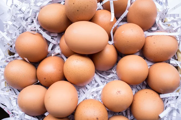 Vackra ägg, hönsägg — Stockfoto