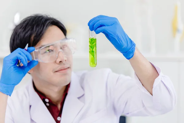 Scientist medical research at a Biomedical Laboratory looking at biological sample in test tube.