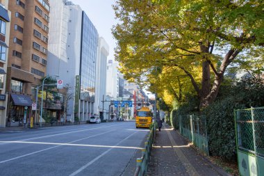 Japonya 'daki sessiz cadde yolu kapatıldığında çoğu Japon virüsün salgını sırasında seyahatleri azaltıyor. Kasım 2015, Osaka, Japonya.