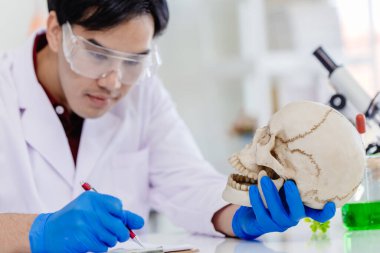 Biyoloji bilimi laboratuvarında insan kemiği ve kafatası üzerine çalışan Asyalı bir erkek..