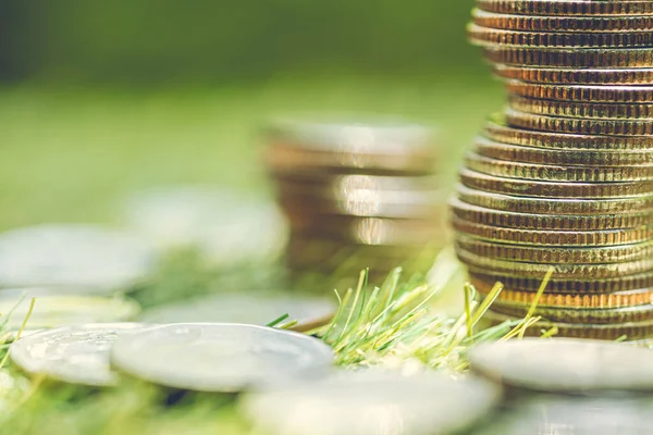 緑の芝生の上にコインの山お金の概念を成長させる — ストック写真