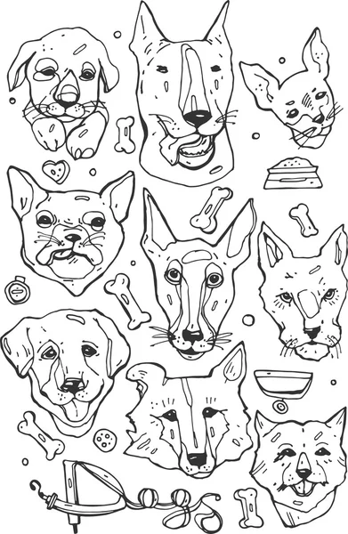 Hand painted set of Doodle icons. Different breeds of dogs : bulldog ,Beagle ,Border Collie,Golden Retriever,Bull Terrier,English Toy Terrier,French Bulldog,Norfolk terrier,Fox Terrier and others. — Stock vektor