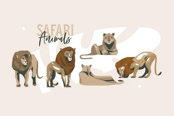 手描きベクトルストックアフリカの野生ライオンとライオンの野生や動物園のコレクションセットで抽象的なフラットグラフィックイラスト、白い背景に隔離された漫画動物のデザイン — ストックベクタ