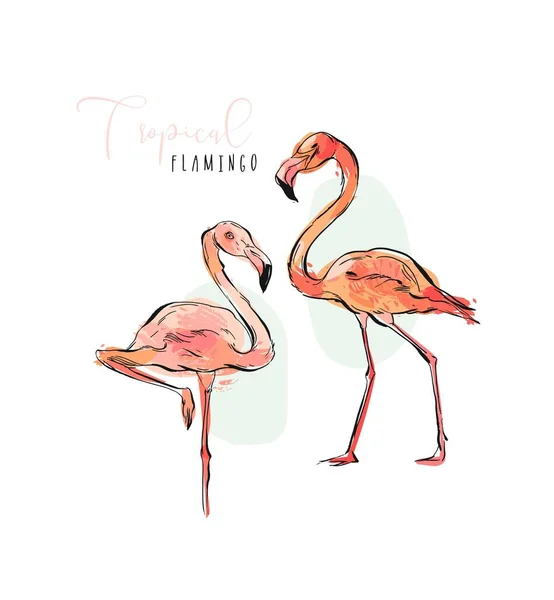 手の白い背景に分離されたパステル カラーのエキゾチックな熱帯の楽園鳥ピンク フラミンゴの描かれたベクター抽象芸術的なイラスト コレクション セット — ストックベクタ