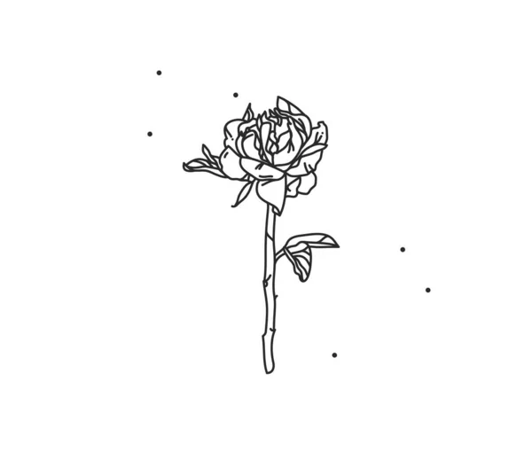 Kézzel rajzolt vektor absztrakt állomány lapos grafika illusztráció logó eleme vonal virág művészet bazsarózsa kontúr tetoválás egyszerű stílusban a márka, elszigetelt fehér backgroun — Stock Vector