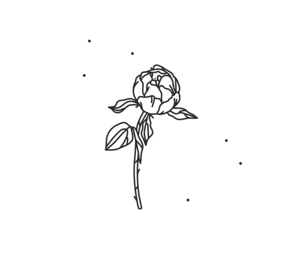 Ręcznie rysowany wektor abstrakcyjny kolba płaska grafika ilustracja z elementem logo linii kwiat sztuka piwonii kontur tatuaż w prostym stylu dla marki, izolowane na białym tle — Wektor stockowy