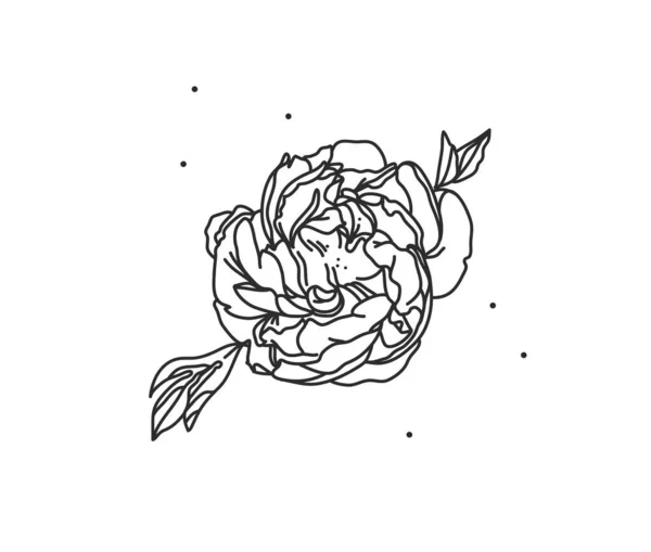 Handritad vektor abstrakt stock platt grafisk illustration med logotyp inslag av linje blomma konst pion i enkel stil för branding, isolerad på vit bakgrund. acred magi boho feminina begrepp — Stock vektor