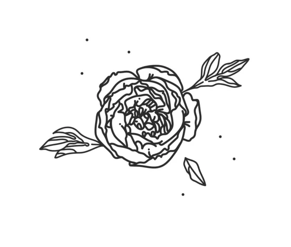 El çizimi vektör soyut düz grafik illüstrasyon çizgi çiçek sanatının logo unsuru markalaşma için basit stil, beyaz arkaplanda izole. Sihirli boho kadınsı kavram. — Stok Vektör