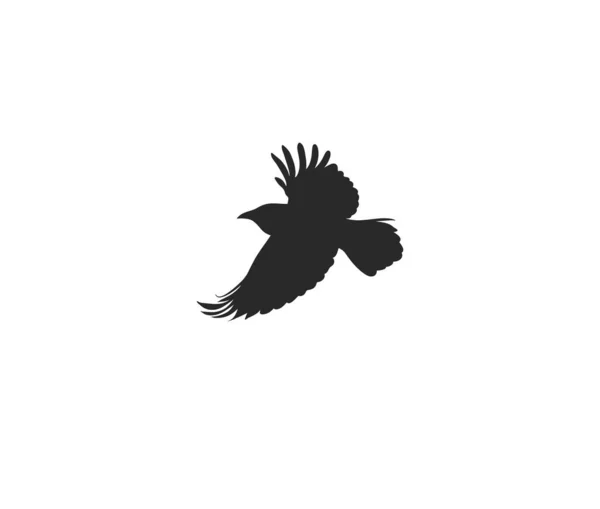 Ilustración gráfica plana de stock abstracto vectorial dibujado a mano con elemento de logotipo, arte de silueta de línea mágica tribal mística de cuervo volador en estilo simple para la marca, aislado sobre fondo blanco — Vector de stock