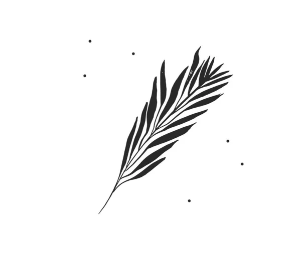 Мальовані вручну векторні абстрактні стокові плоскі графічні ілюстрації з елементом логотипу тропічного, чорного екзотичного пальмового листя силуетного мистецтва в простому стилі для брендингу, ізольовані на білому тлі — стоковий вектор
