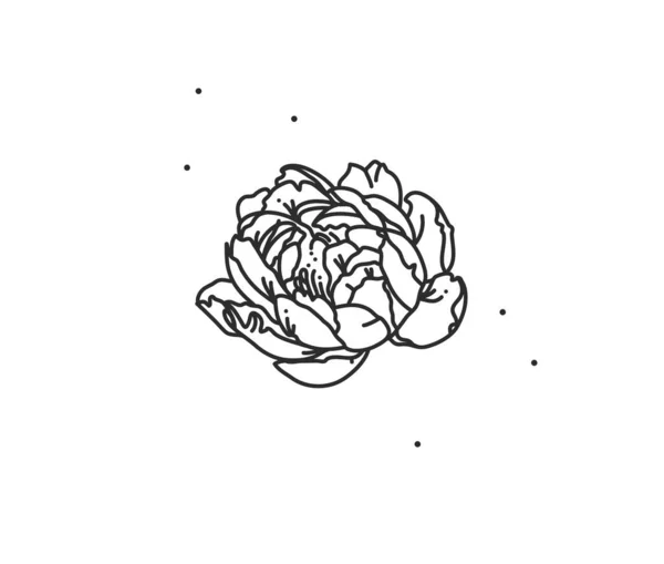 Ręcznie rysowane wektor abstrakcyjny czas płaska grafika ilustracja z elementem logo linii kwiat sztuki piwonii w prostym stylu do znakowania, izolowane na białym tle. — Wektor stockowy