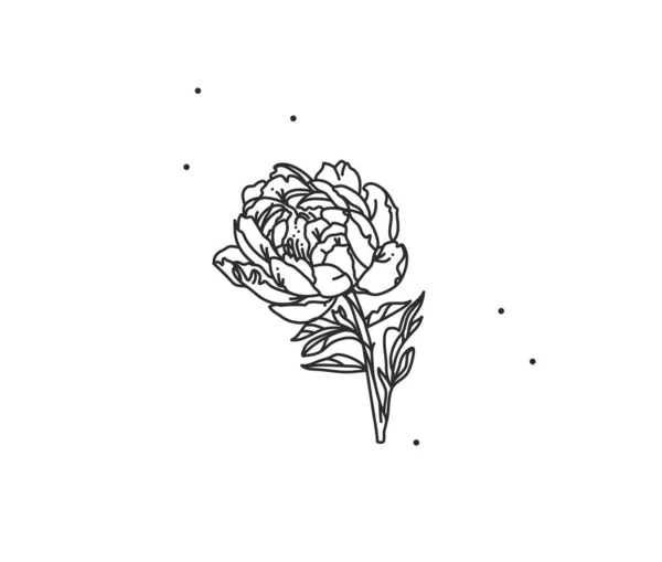 Рука намальована векторна абстрактна стокова плоска графічна ілюстрація з елементом логотипу лінії квіткового мистецтва півонії в простому стилі для брендингу, ізольована на білому тлі. — стоковий вектор