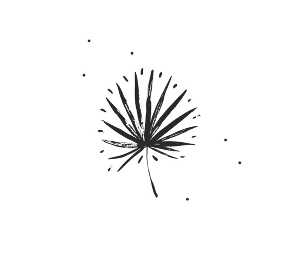 Kézzel rajzolt vektor absztrakt állomány lapos grafika illusztráció logó eleme trópusi, fekete egzotikus pálma levelek sziluett művészet egyszerű stílusban a márka, elszigetelt fehér alapon — Stock Vector