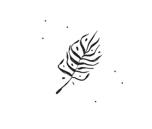 El çizimi vektör soyut düz grafik çizimi tropikal, siyah palmiye yapraklarının logo elementi siluet sanatı basit stil markalaştırma için, beyaz arka planda izole — Stok Vektör