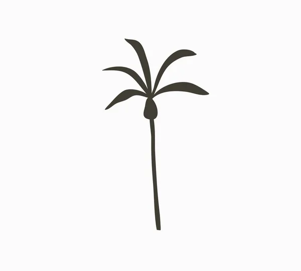Mão desenhado vetor abstrato estoque gráfico verão tempo cartoon, ilustrações minimalistas imprimir logotipo elemento, com bela silhueta de palmeira tropical isolado no fundo branco — Vetor de Stock