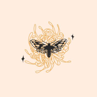 El çizimi vektör soyut düz grafik çizimi logo elementi, bohem astroloji mistik güve kelebeğinin minimalist amblemi ve kasımpatı çiçeği, markalaşma için basit bir tarz..