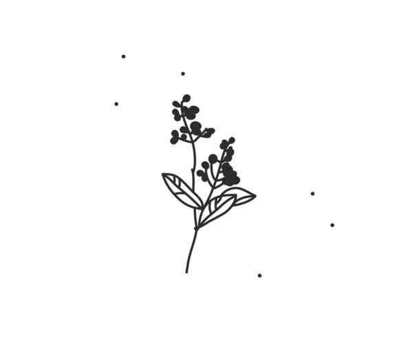 Ručně kreslený vektor abstraktní stock plochá grafická ilustrace s logem element, bohémská magie květinové větve art v jednoduchém stylu pro branding, izolované na bílém pozadí.Ženské logo koncept. — Stockový vektor